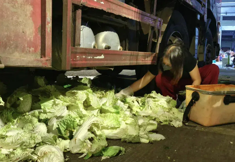 多位博主拍“菜市场捡菜”走红 商户：有人摆拍捡菜