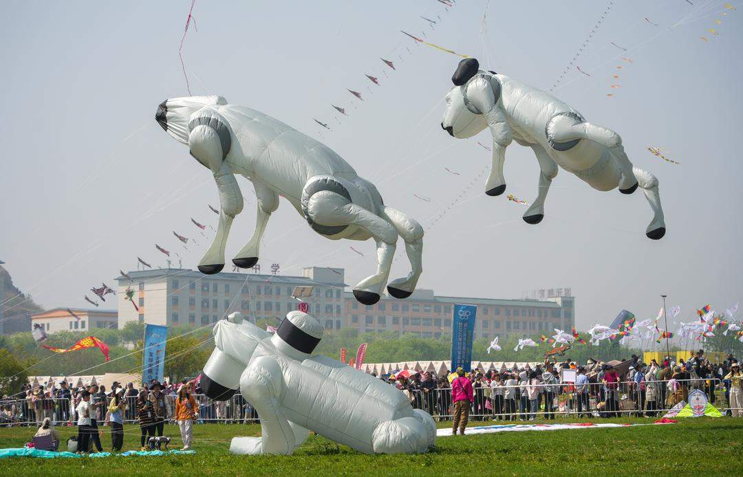 潍坊：一根风筝线，牵起四海情