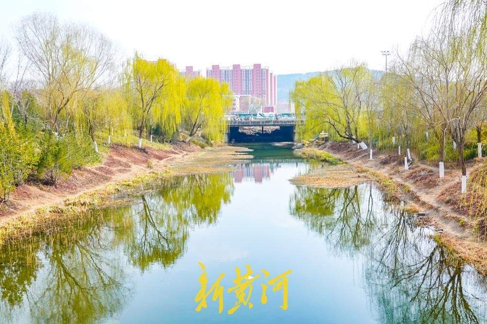 一年四季 泉在济南丨春意渐浓，腊山河畔披绿绽