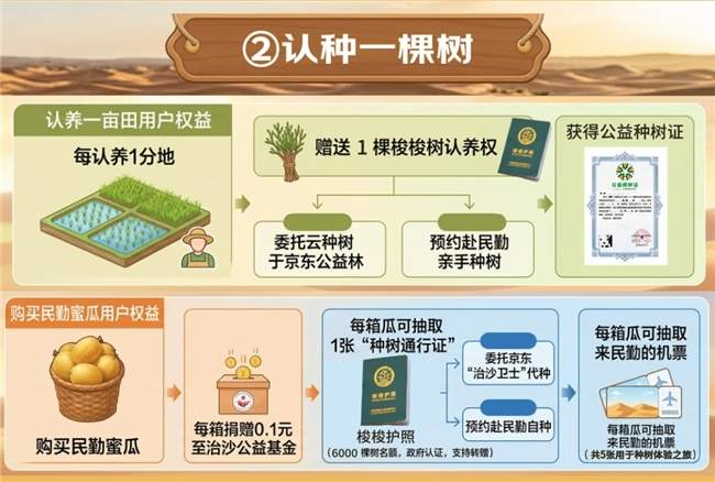 我在沙漠种下一块瓜田:京东生鲜推出“认养一亩瓜田”,24小时慢直播陪你“云养瓜”