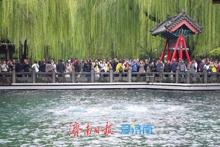 半个月涨了1米，济南趵突泉水位再创新高