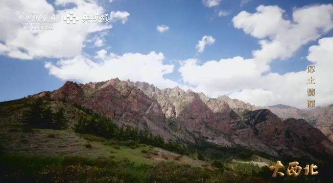 高品质葡萄酒排行，酿酒黄金带成就长城天赋独特风格