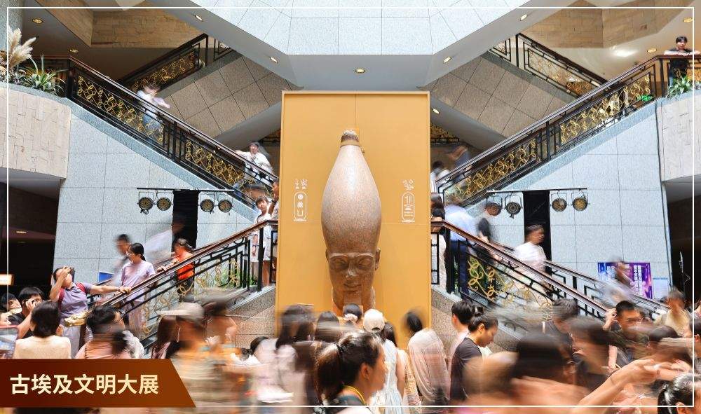 镜观·回响｜元首引领 中埃合作结硕果