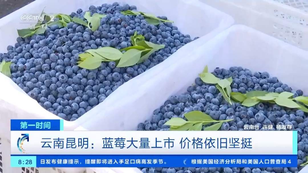 价格打不下来？这种水果月底将大量上市