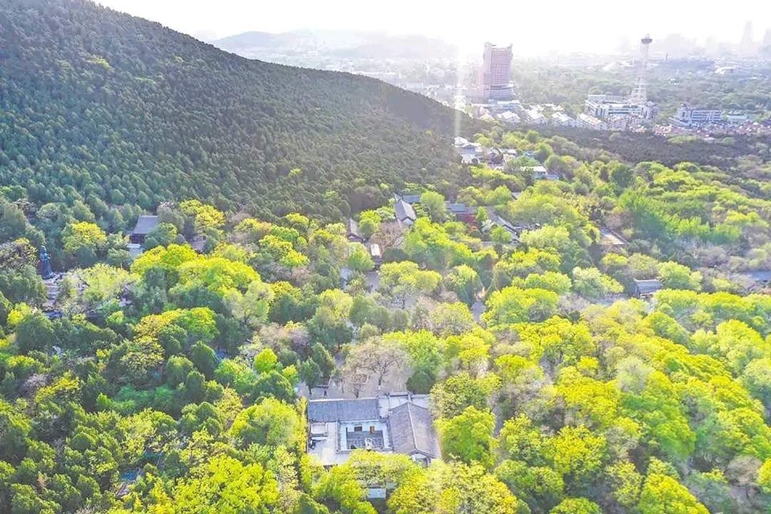 城市更新重构民生温度，“济南经验”与他山之石同样精彩