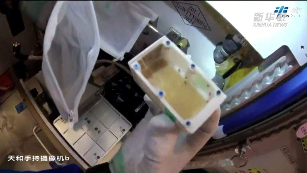 中国空间站:来听听我的太空奇幻之旅