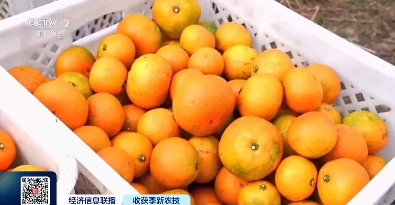 我国农用无人机保有量超30万架 居全球首位