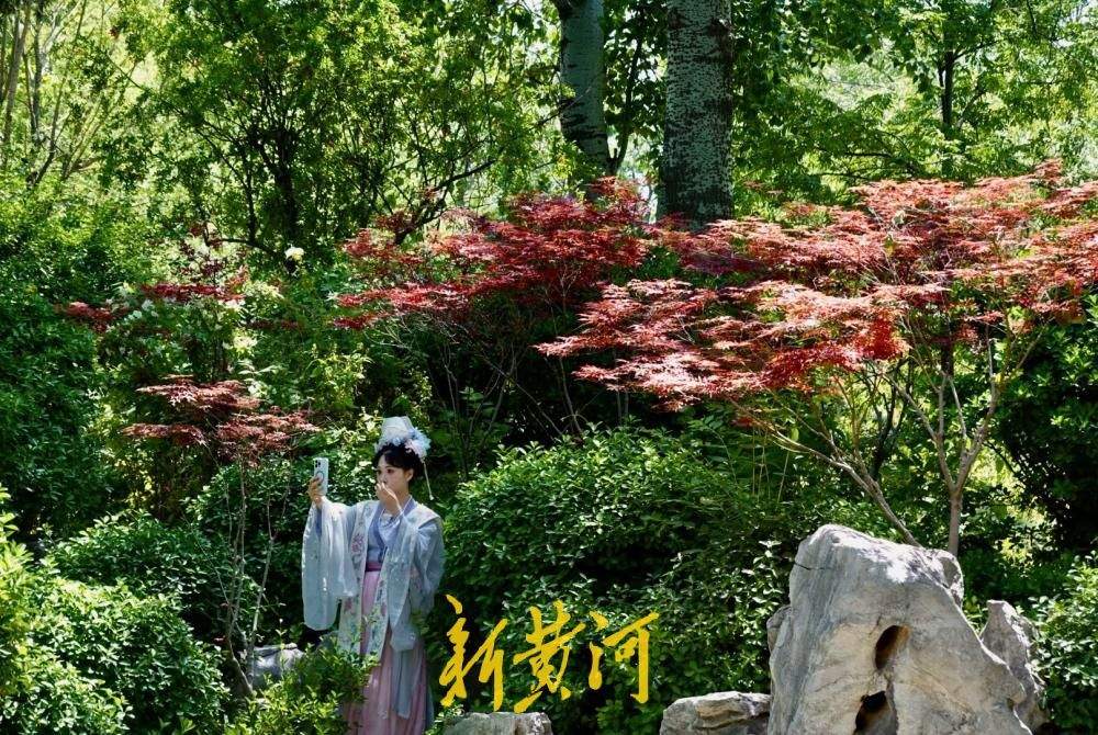 立夏气温升至30℃，济南大明湖遐园成清凉“绿洲”