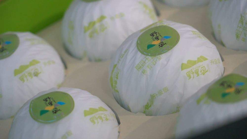 金秋丰收绘新景 乡村振兴谱华章