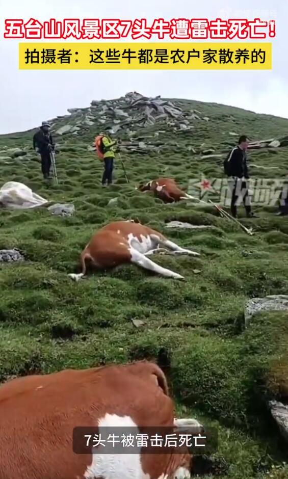 雷劈死人图片