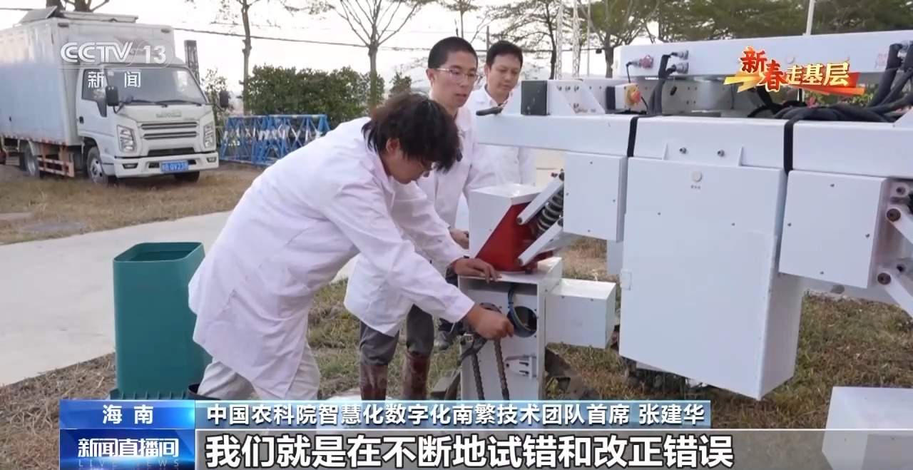 新春走基层丨水稻育种遇上AI 老专家与工程师联手“抢花期”