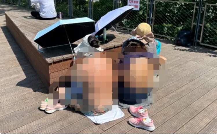 公园晒背被指辣眼睛，如何平衡个人自由与公共秩序的界限？