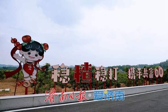 城“新”乡“兴”向未来｜走进莱芜区：红绿交融的乡村振兴之路