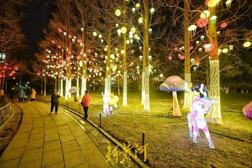 泉城年味渐浓 五龙潭花灯悄然点亮