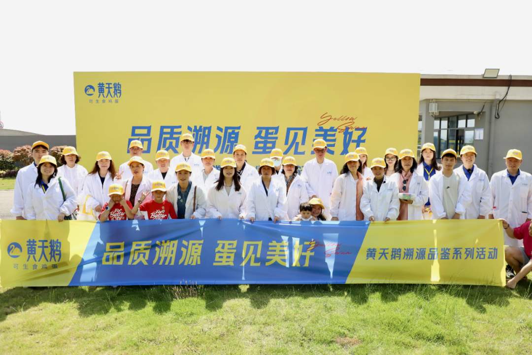一颗鸡蛋的逆势增长背后：黄天鹅以全产业链定力跑赢市场波动