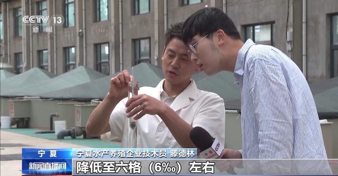 开渔期赶海忙!山东各大鲜活海产“游”进市场