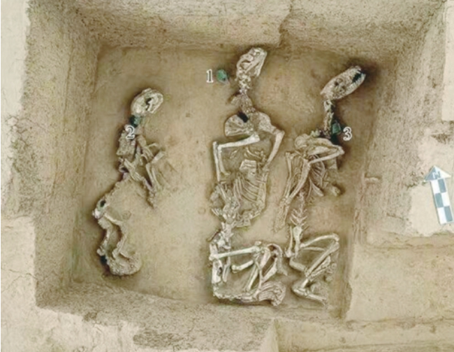 殷墟发现我国最早“野生动物园”3000年前的人们养什么“宠物”？