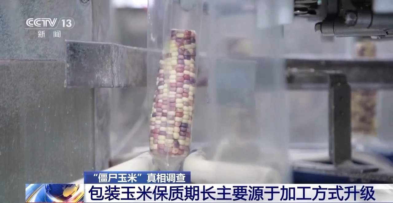 包装玉米是“僵尸玉米”？专家解读