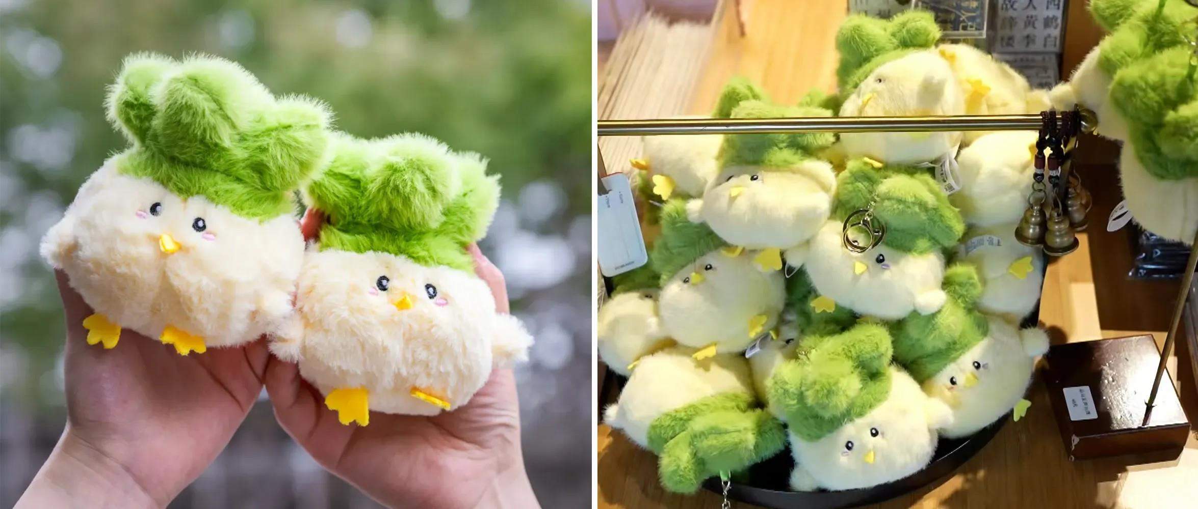 “蒜鸟~蒜鸟~”武汉公交“劝和员”表现亮眼