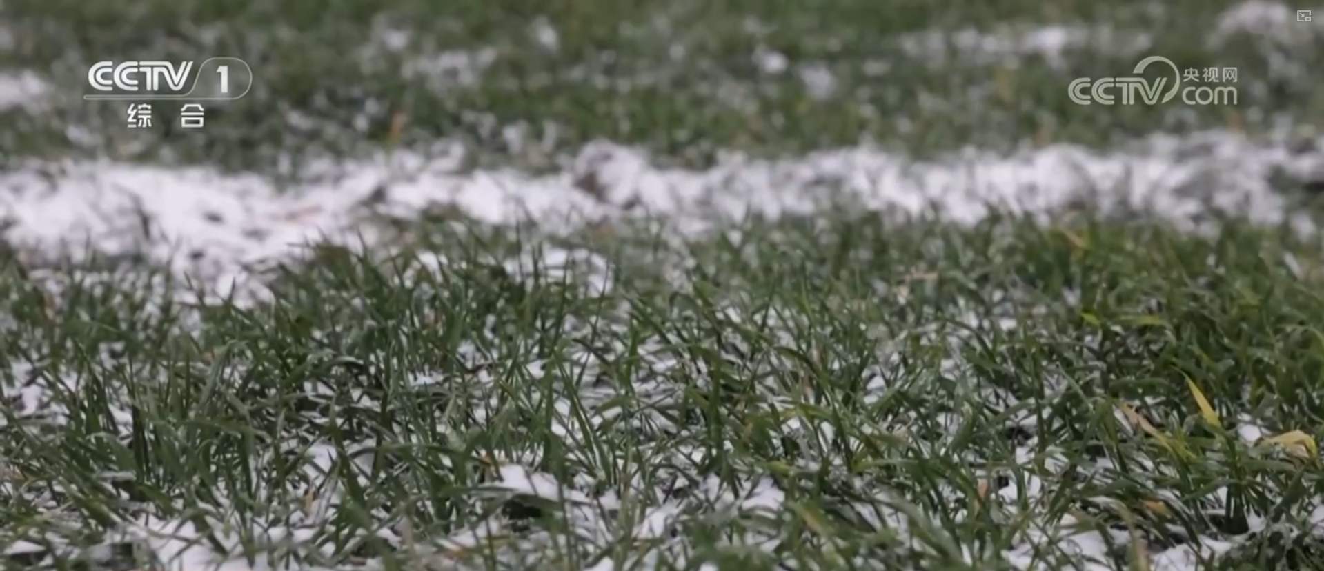 抗风雪、战寒潮、保畅通、护民生 各地各部门积极应对雨雪冰冻天气