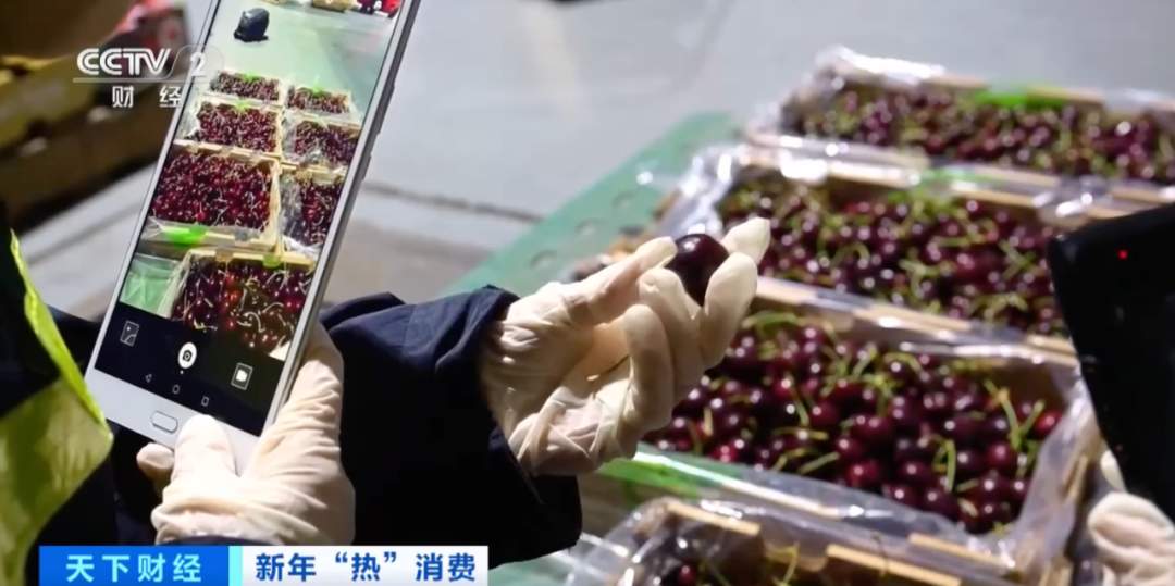 36万吨!智利超90%出口车厘子,都来了!