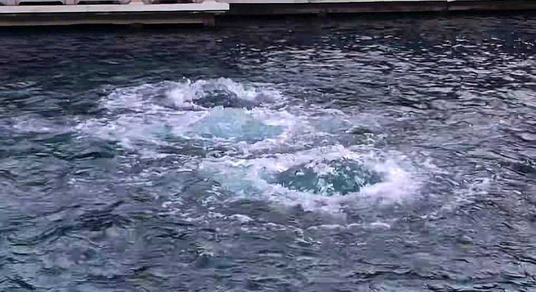 济南地下水位大幅上涨，千泉竞涌盛景“超长待机”