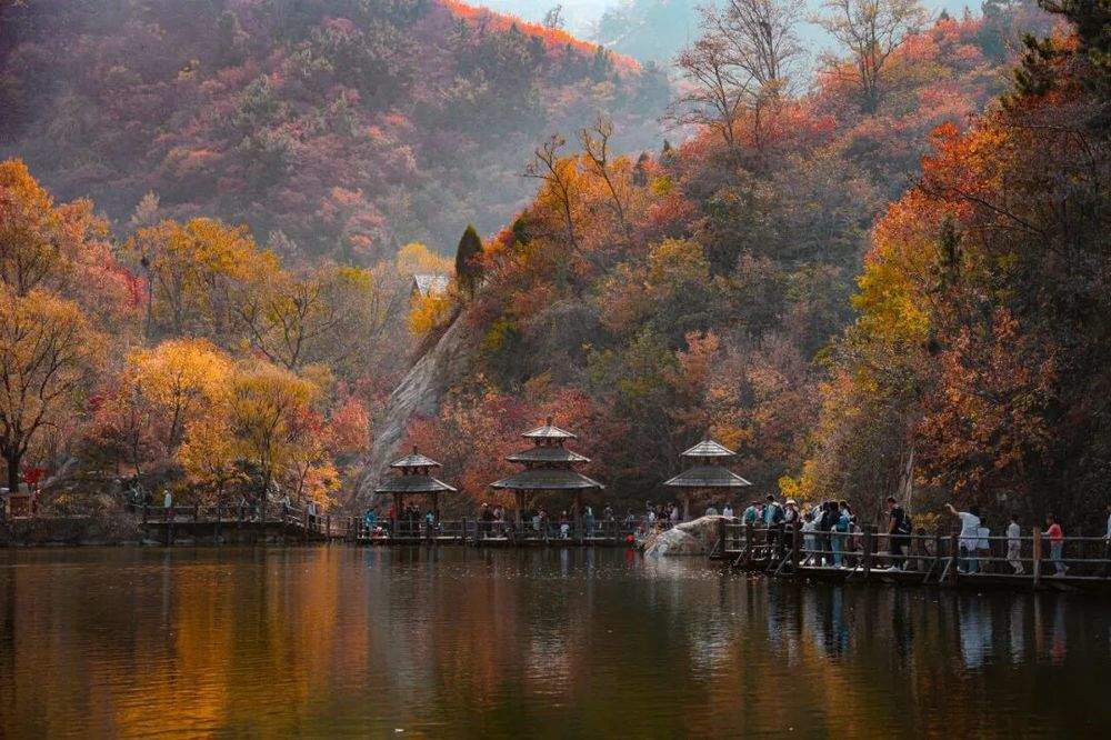 “这一站，济南”乐享中秋出游攻略来啦！60余项文旅活动玩转泉城