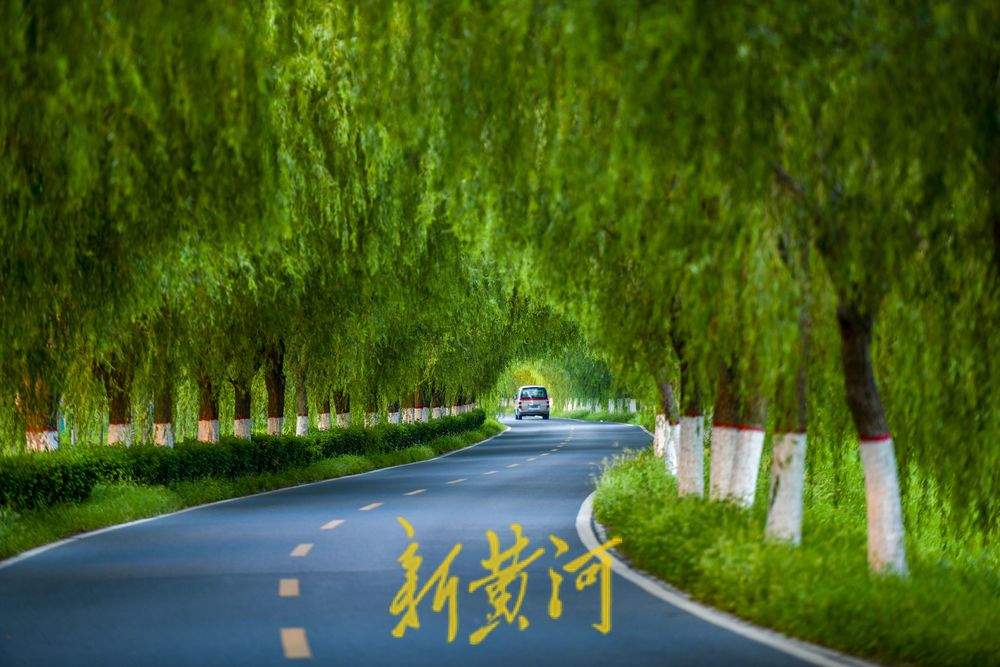 过往货车如剪刀 造就柳荫隧道