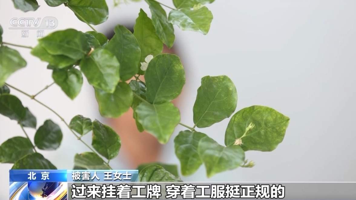 嘘寒问暖获信任 “保险专员”盯上老年人骗保单、赚佣金