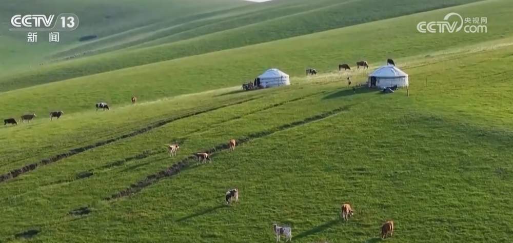 数说绿色发展成绩单 “十四五”时期我国草原生态得到整体改善