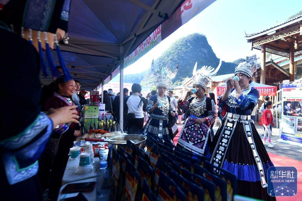 可爱的乡村——跨区域协作助深山苗寨产业发展