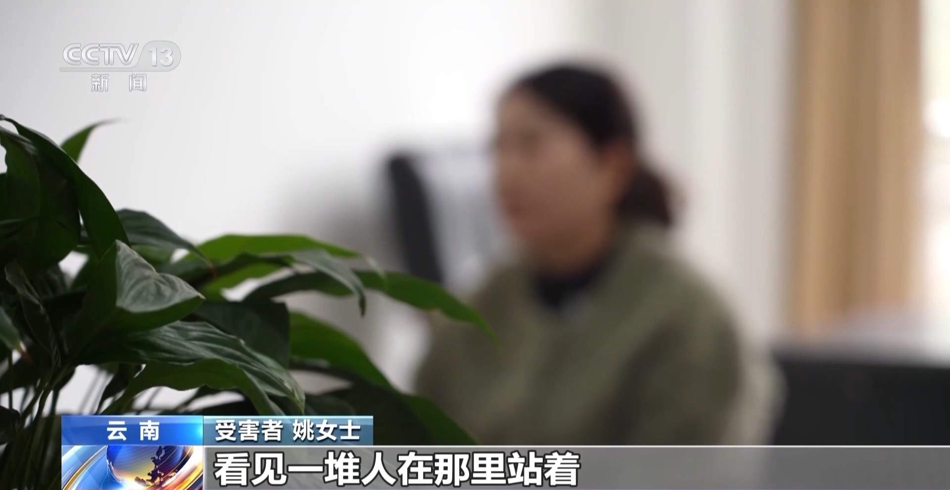 给廉价草药起名“黑虫草”“海底椰”高价卖 一诈骗团伙落网