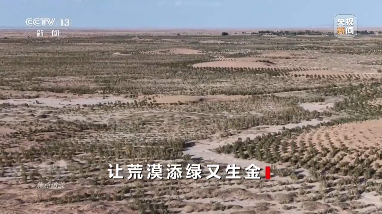 让荒漠添绿又生金 看“三北”的生态蝶变