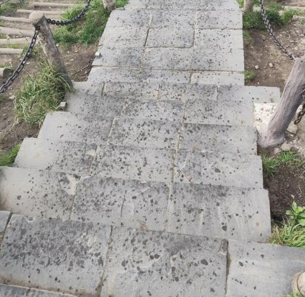 武功山景区“臭屁虫”泛滥，有游客调侃“张嘴能吃饱”