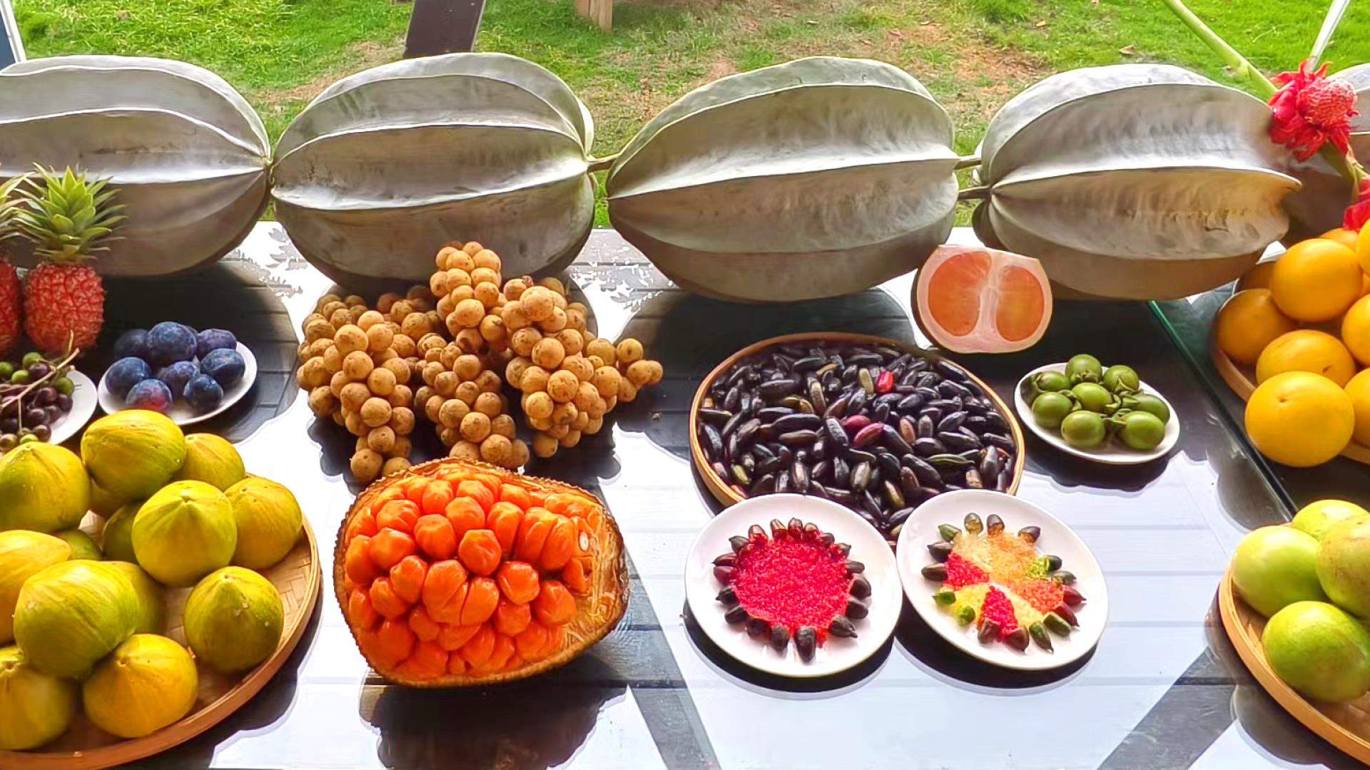 开局之年看中国丨开放自贸港 海南新活力