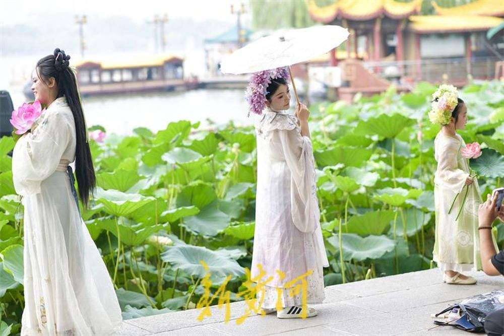 大明湖迎来暑期旅游高峰 赏荷打卡享受清凉一“夏”