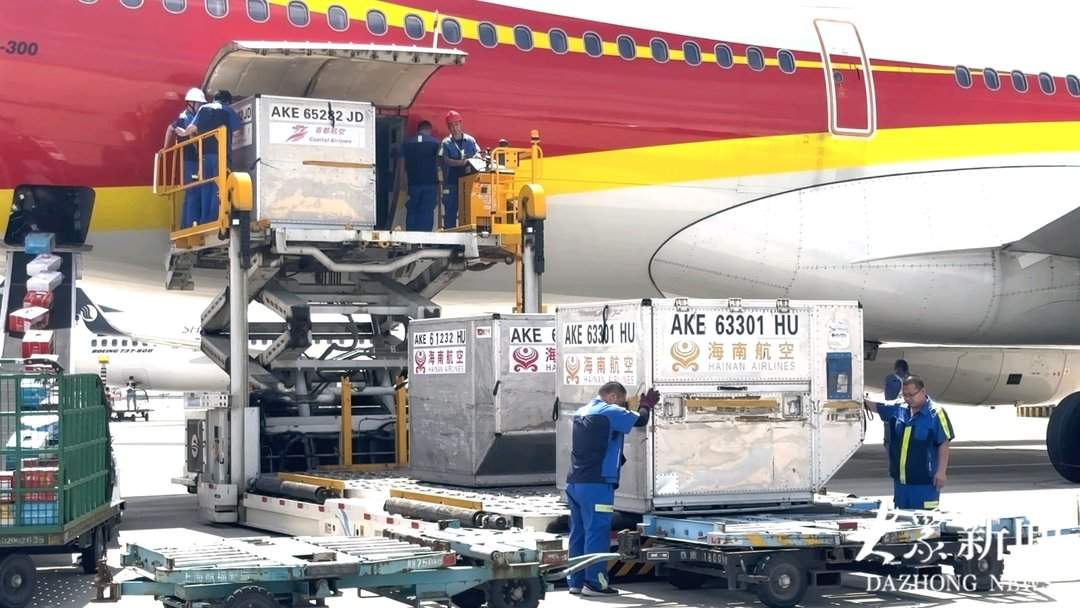 “最热”暑运收官！济南机场累计运送旅客405.5万人次