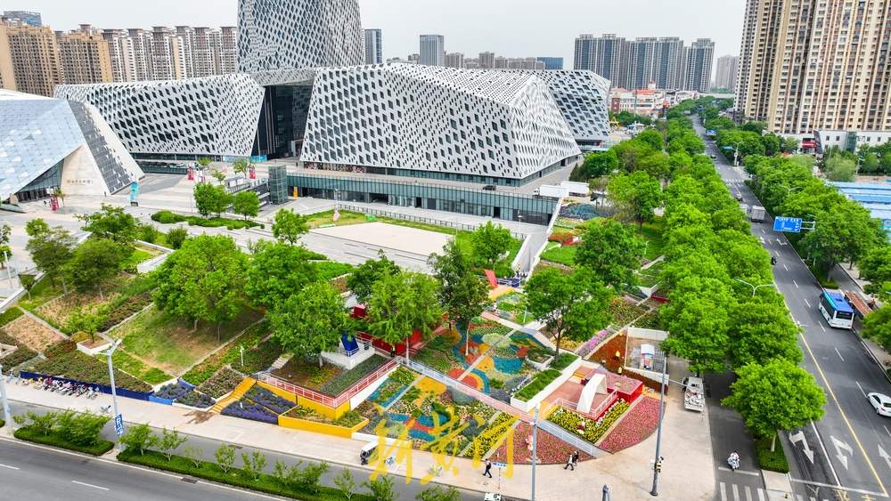 济南这处七彩花田换新装，色彩“拼盘”打造美学空间 