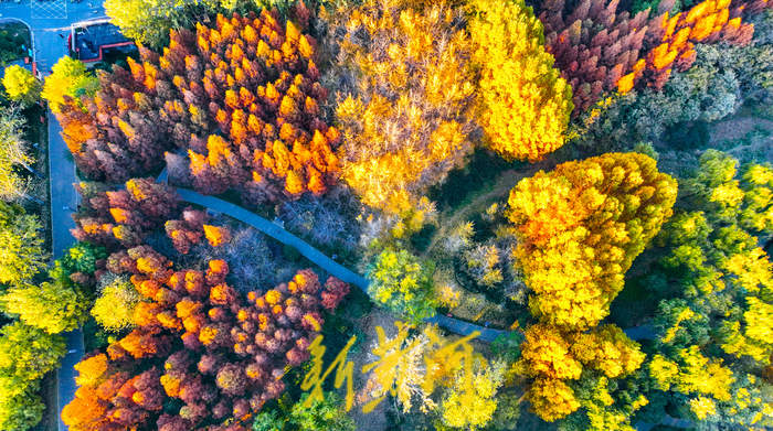 “泉”在济南过大年｜来泉城过年的理由很多，打动你的是哪个？