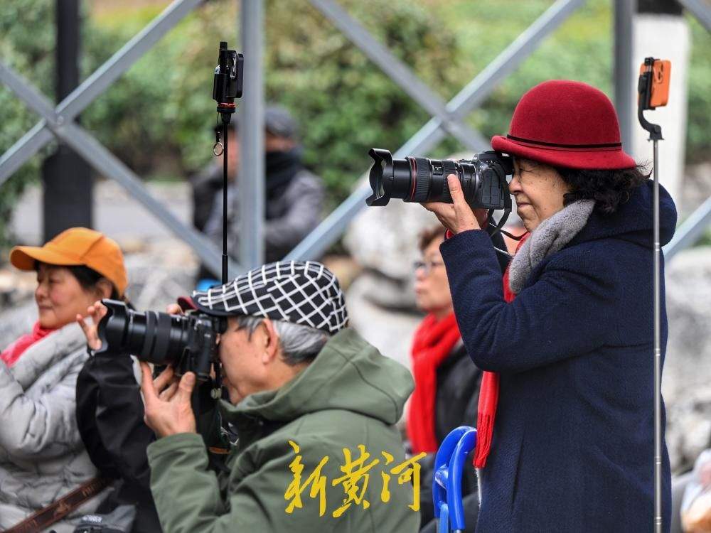 让戏迷票友过足戏瘾，元宵节戏曲专场在千佛山上演