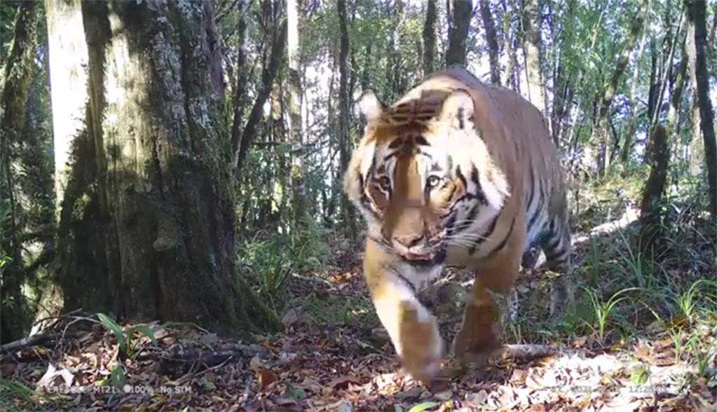 重要成果集中发布!第二次青藏科考“大开箱”