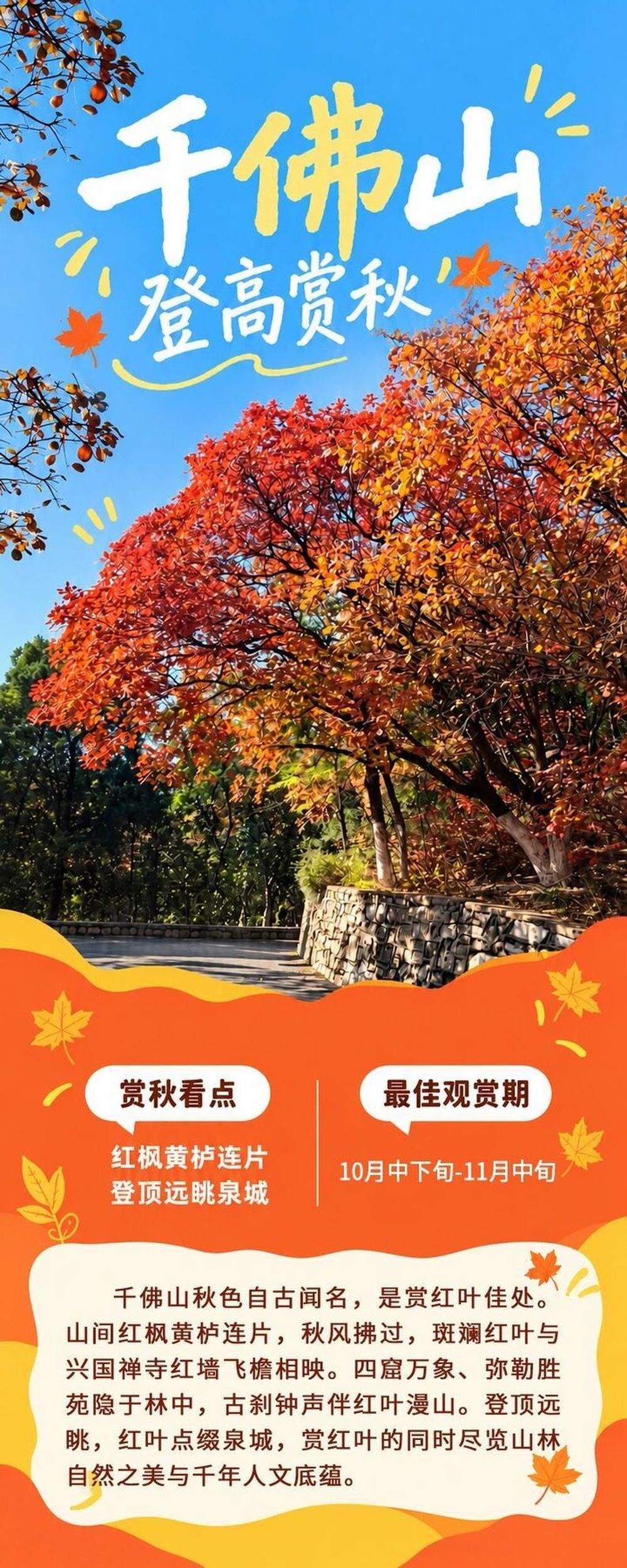 现在出发正当时！泉城红叶迎来最佳观赏期