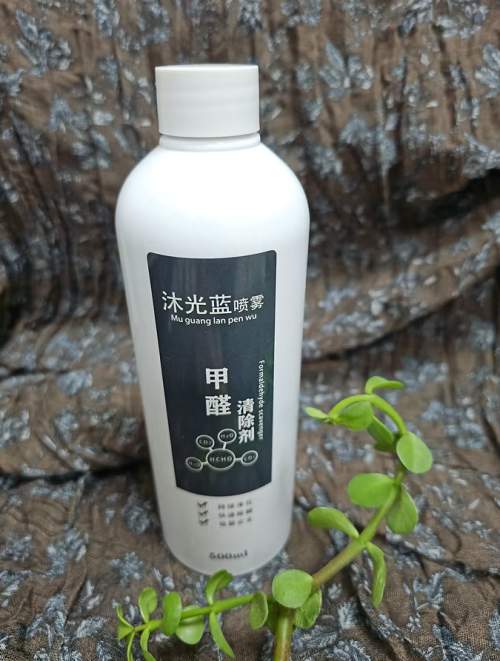 2026年专业除甲醛品牌推荐：新房除味去甲醛效果横测与治理方法分析