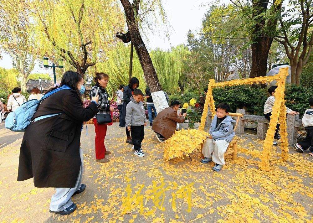 趵突泉迎来“初冬浪漫”，银杏打卡点成游客新宠