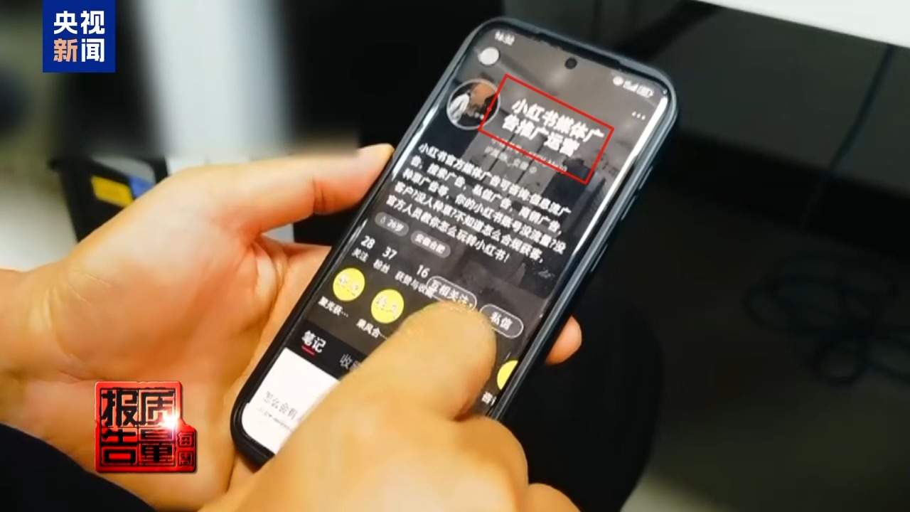 云南大理“采菌游”爆火 无序采摘已引发多起警情