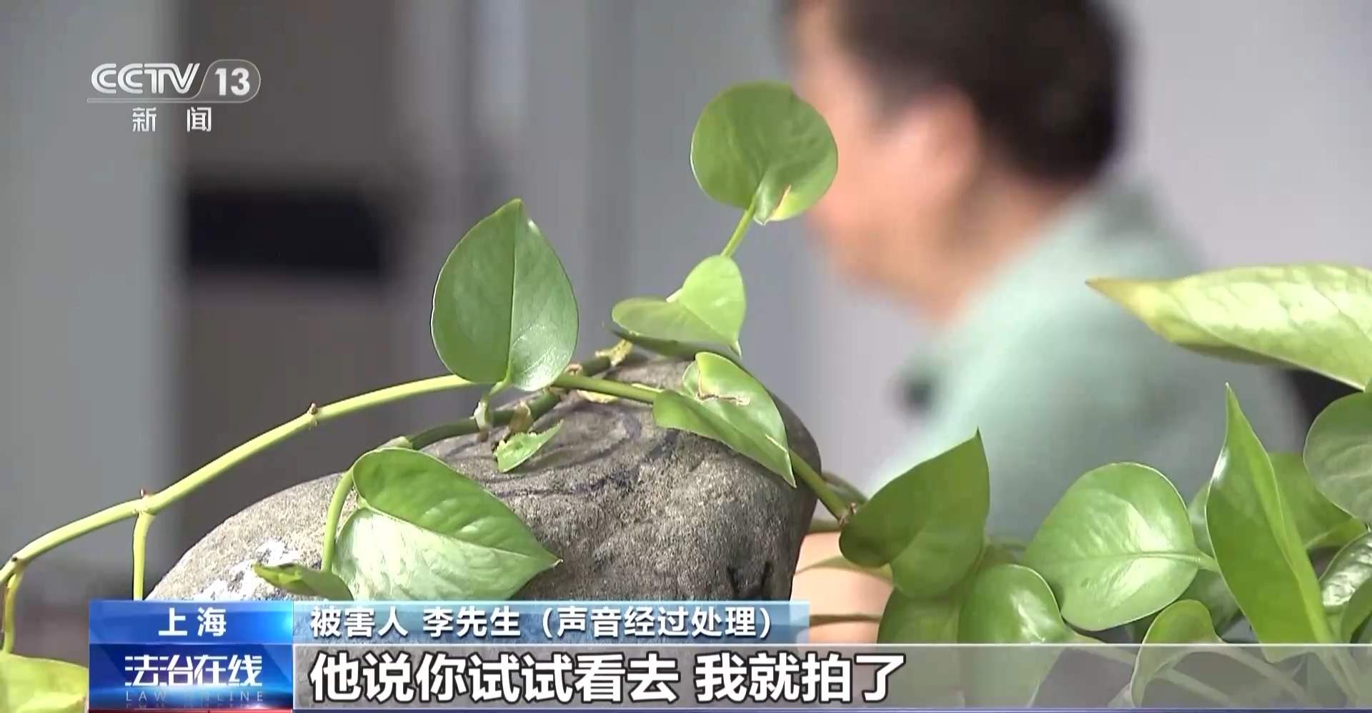 免费送、赚大钱?老汉豪掷百万赌石竟是被安排的剧本