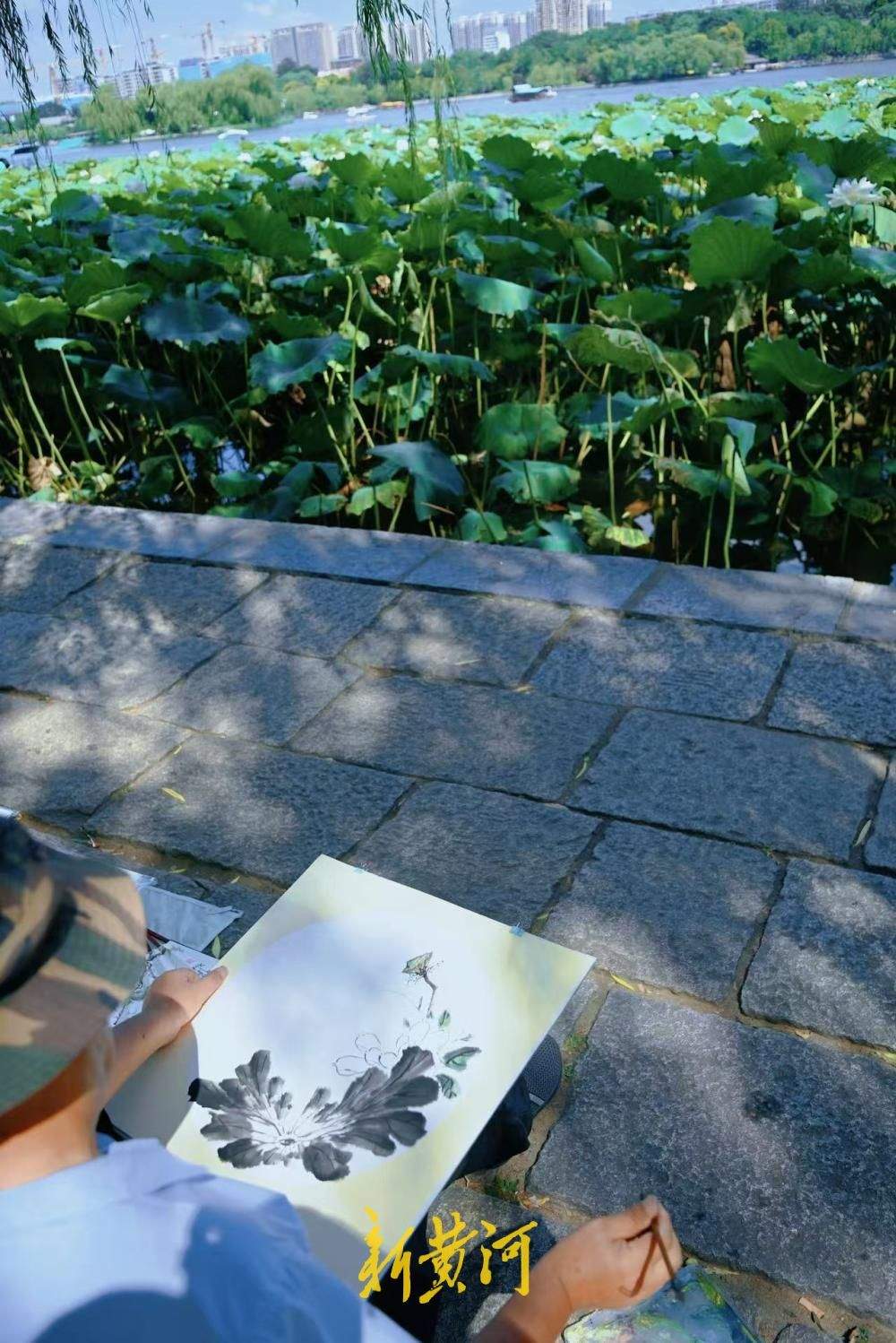 大明湖畔现场画荷，把荷塘画进画里