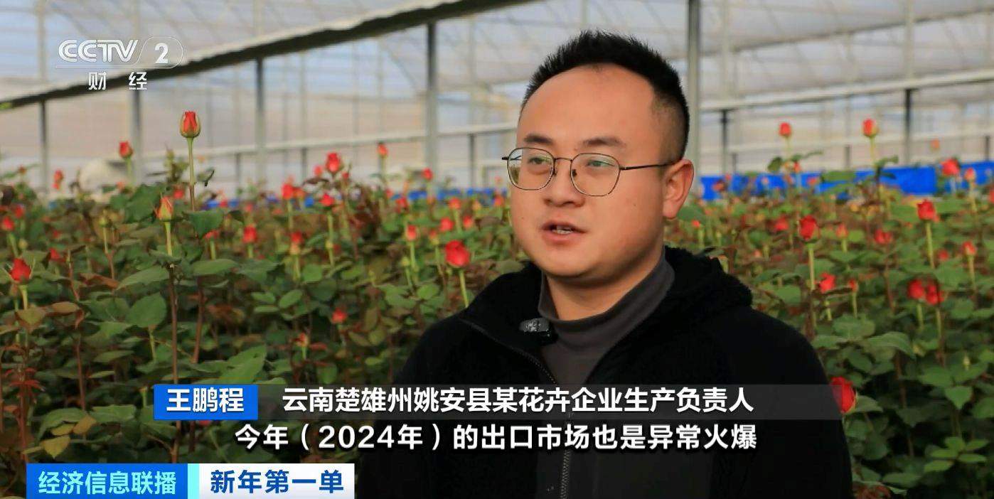 火爆!云南鲜切花火到海外 部分企业订单量暴增20%