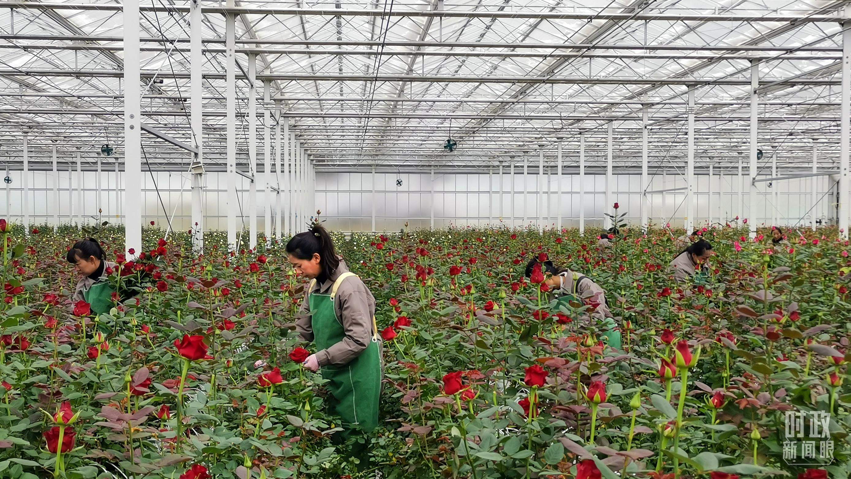 时政新闻眼丨开局之年经济工作有哪些重点?这场会议释放鲜明信号