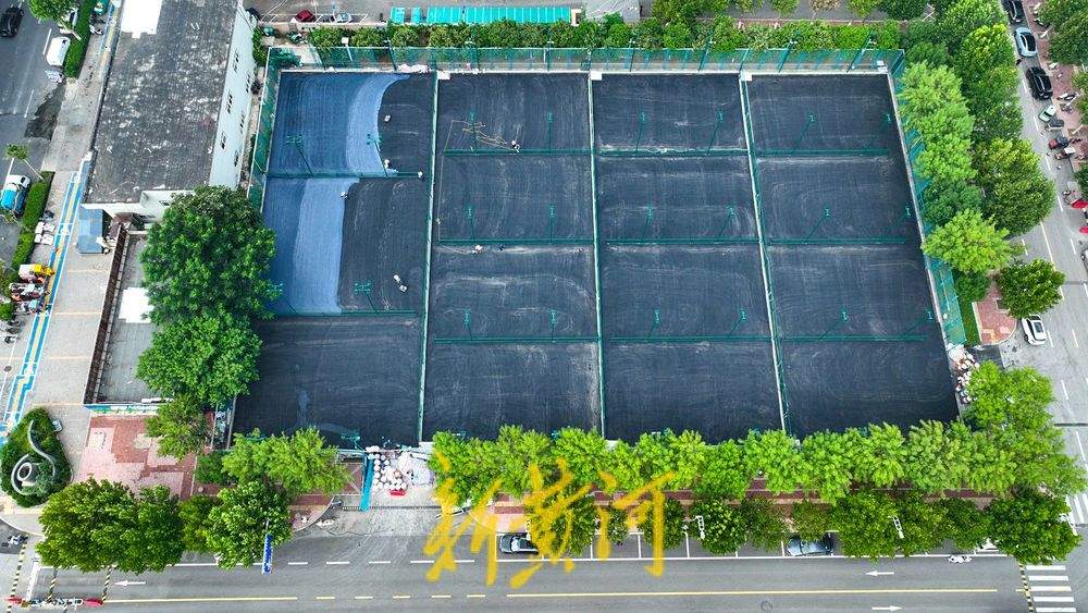 泉城首个匹克球主题公园落户省体